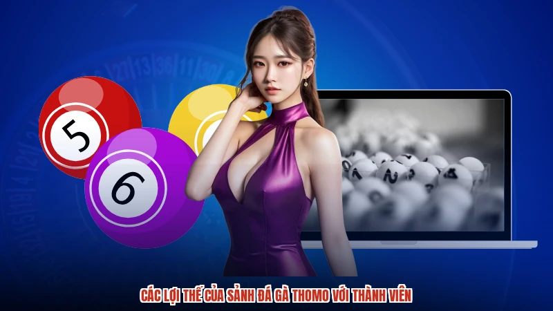 Các lợi thế của sảnh đá gà thomo với thành viên