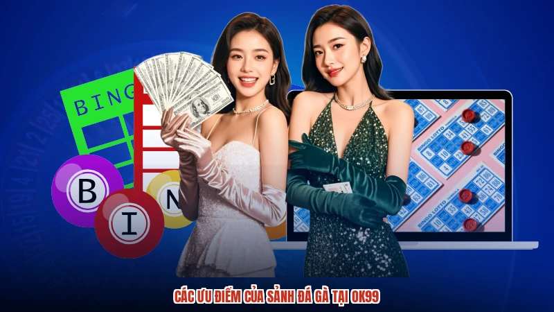 Các ưu điểm của sảnh đá gà tại OK99