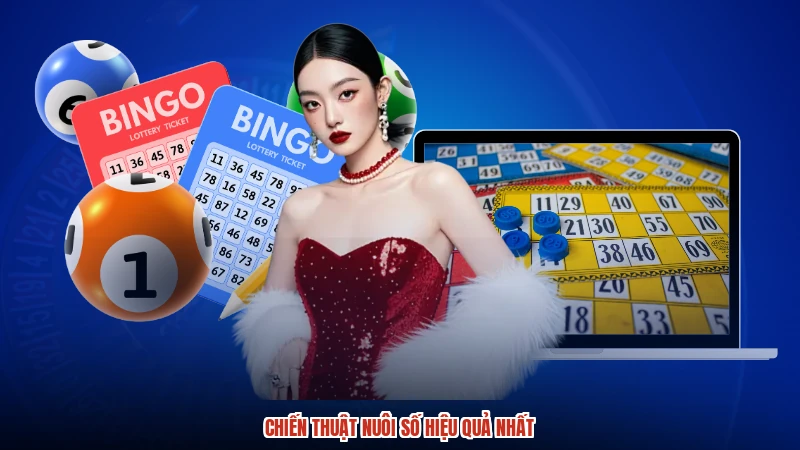 Chiến thuật nuôi số hiệu quả nhất