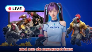 Giống Gà Tre Hay: Thông Tin Quan Trọng Tại Nền Tảng OK99