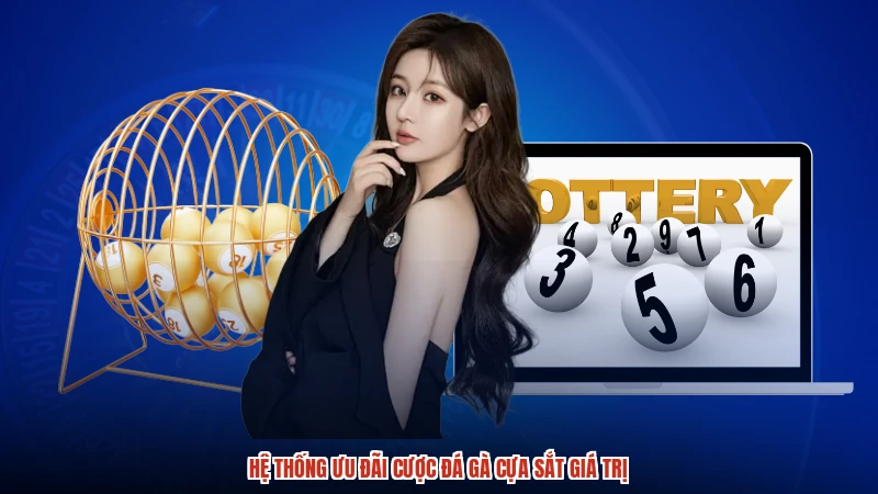 Hệ thống ưu đãi cược đá gà cựa sắt giá trị
