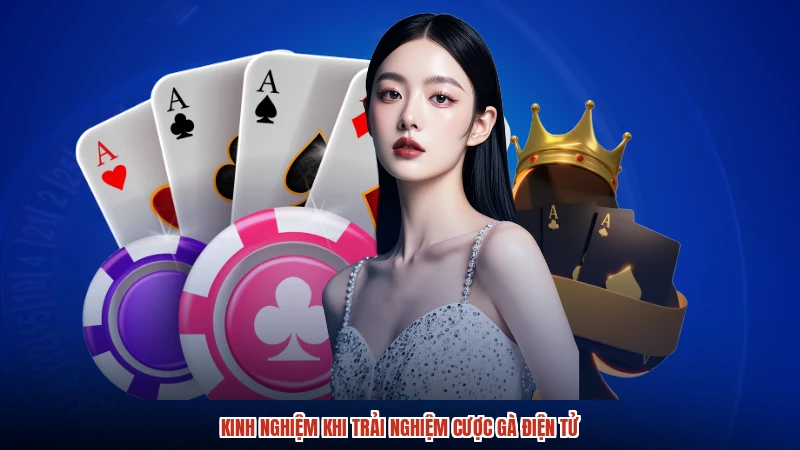 Kinh nghiệm khi trải nghiệm cược gà điện tử