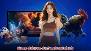 Màu Mạng Gà Đá Tại OK99: Bí Quyết Xem Kèo Chuẩn Thắng Lớn
