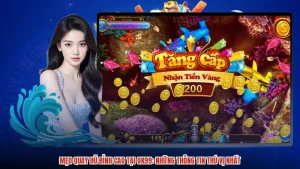 Mẹo Quay Hũ Đỉnh Cao Tại OK99: Những Thông Tin Thú Vị Nhất