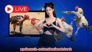Mẹo Săn Boss Lớn - So Sánh Phần Thưởng Nhà Cái Uy Tín