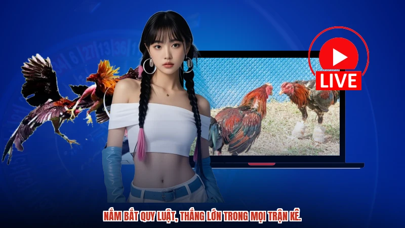 Nắm bắt quy luật, thắng lớn trong mọi trận kê.