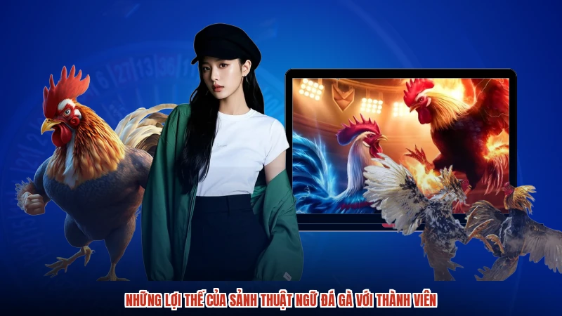 Những lợi thế của sảnh thuật ngữ đá gà với thành viên