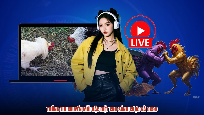 Thông tin khuyến mãi đặc biệt cho sảnh cược gà OK99