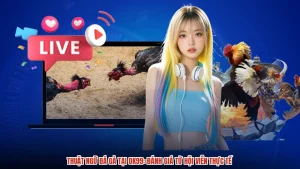 Thuật Ngữ Đá Gà Tại OK99: Đánh Giá Từ Hội Viên Thực Tế