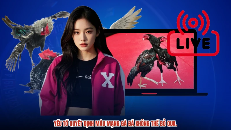 Yếu tố quyết định màu mạng gà đá không thể bỏ qua.