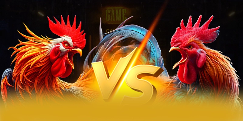 BET88 - Tổng kết dành cho người chơi.