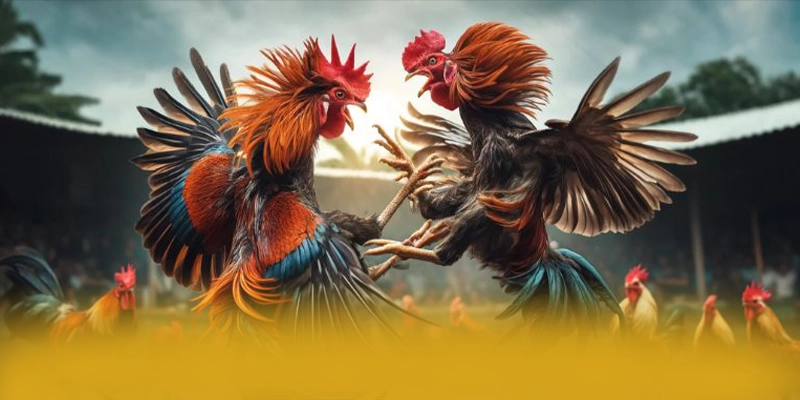 Khả năng truy cập đa nền tảng cùng BET88